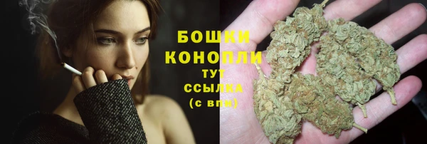 дмт Покачи