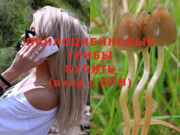 дмт Покачи