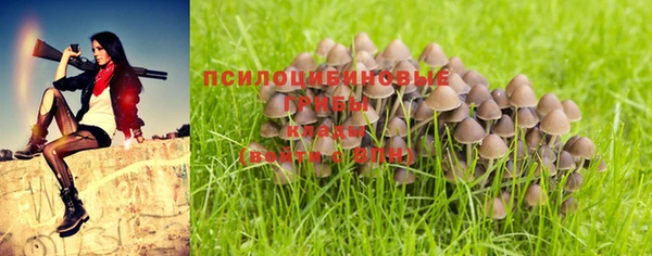 таблы Покров