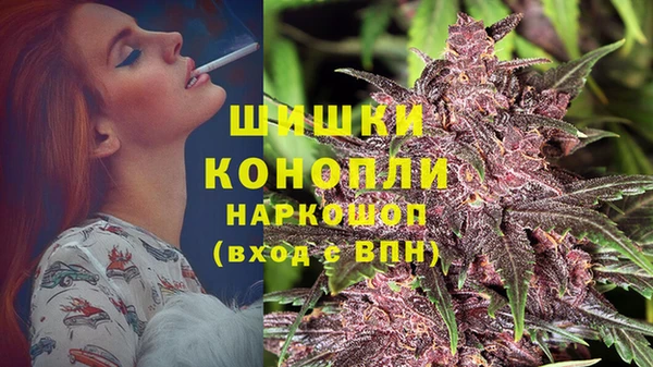 шишки Покровск