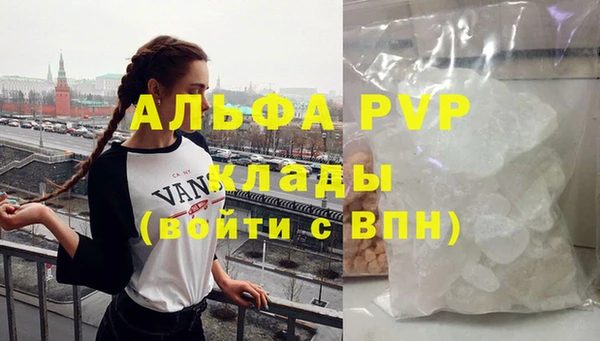 стаф Данков