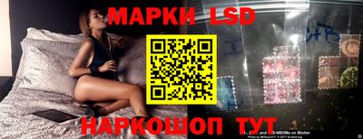 гидропоника Краснокаменск
