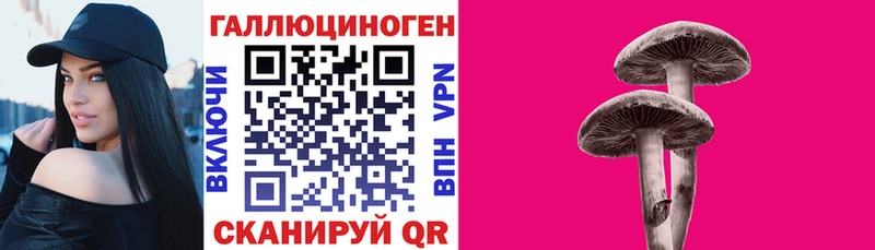 Псилоцибиновые грибы Psilocybine cubensis  где можно купить наркотик  Новороссийск 