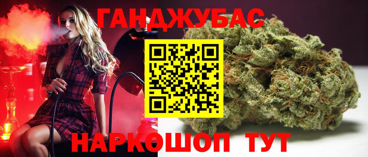 Бошки Шишки план Новороссийск